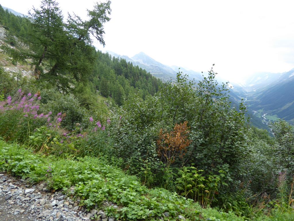 {Clic pour voir plus grand}