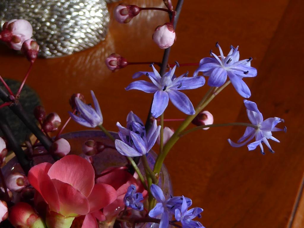 {Clic pour voir plus grand}