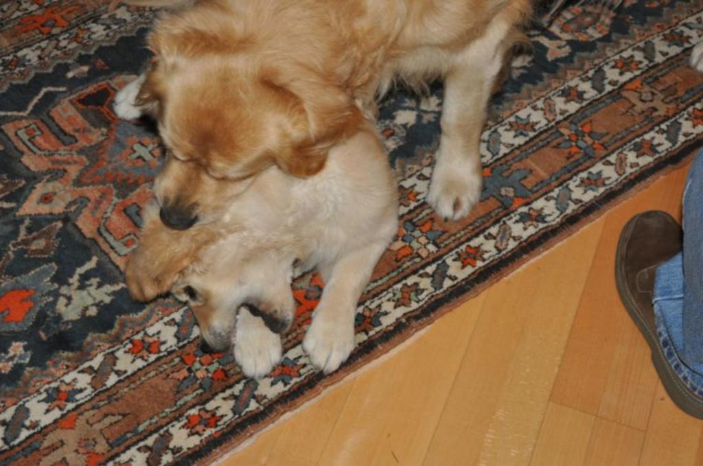 Clic pour l'image suivante