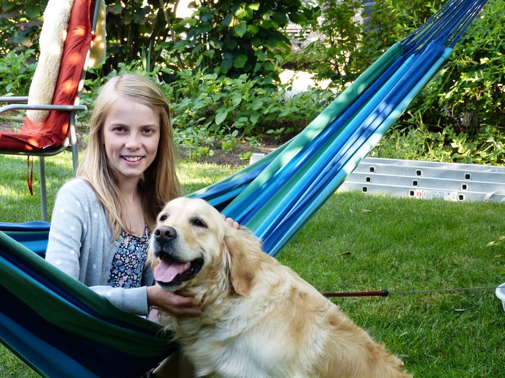 Clic pour l'image suivante