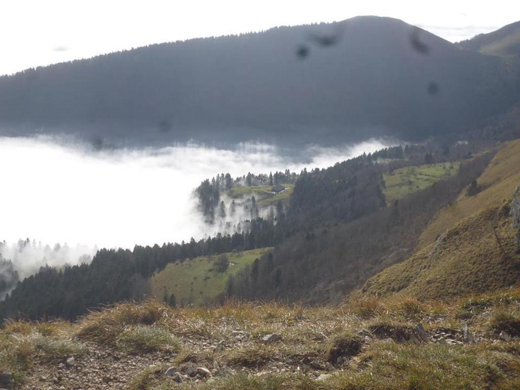 {Clic pour voir plus grand}